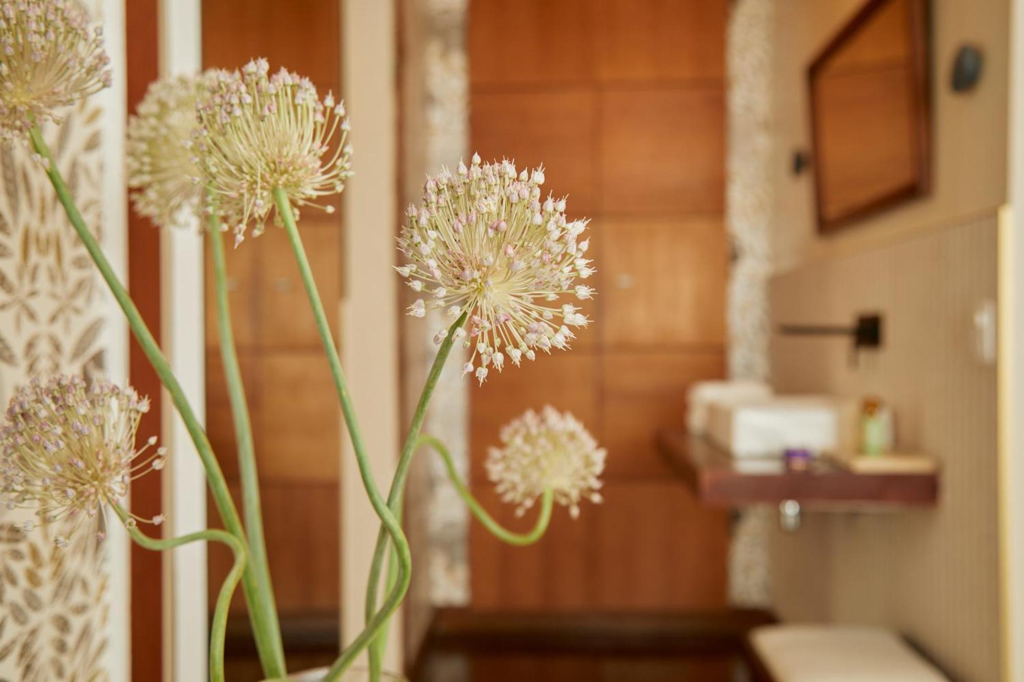 Maison Mama Ruisa Hotel Rio de Janeiro Luaran gambar