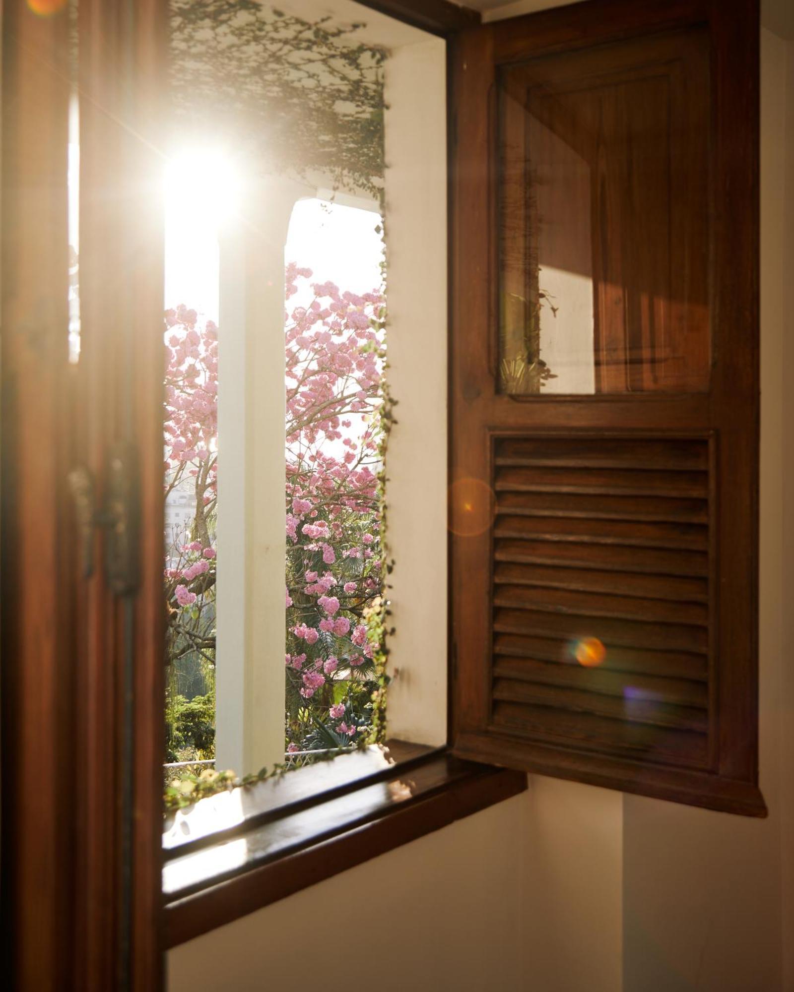 Maison Mama Ruisa Hotel Rio de Janeiro Luaran gambar